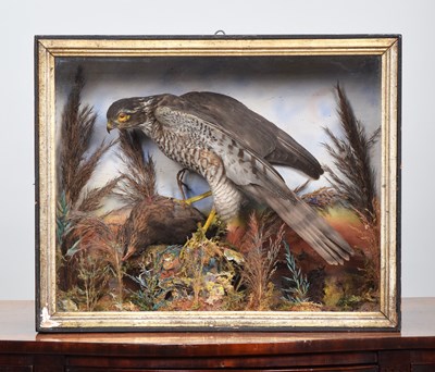 Lot 1272 - Taxidermy: A Late Victorian Cased European...