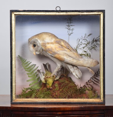 Lot 1278 - Taxidermy: A Late Victorian Cased Barn Owl...