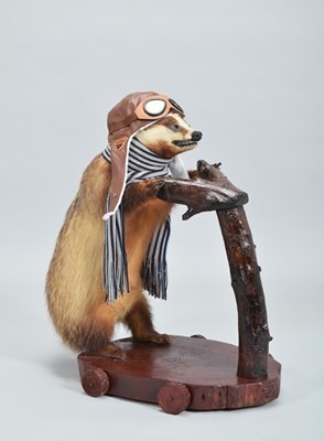 Lot Anthropomorphic Taxidermy: A European Badger...