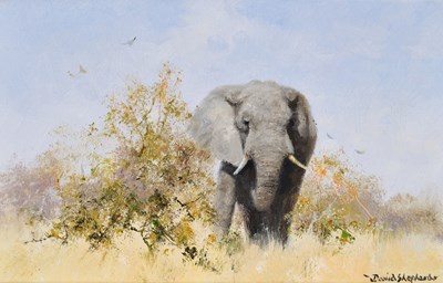 Lot 562 - David Shepherd CBE, FRSA, FGRA (1931-2017)...