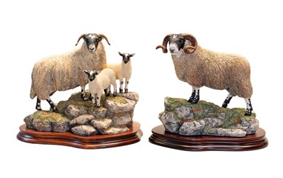 Lot 1053 - Border Fine Arts 'Blackie Tup', model No....