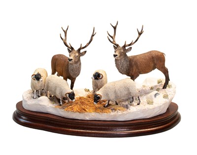 Lot 1099 - Border Fine Arts 'Winter Guests', model No....