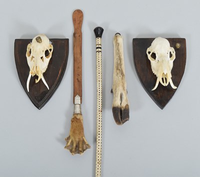 Lot 1345 - Natural History: A Shark Vertebrae Walking...