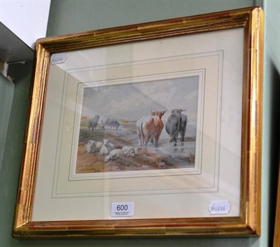 Lot 600 - R Cooper, cattle and sheep watercolour