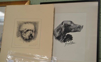 Lot 613 - Pen sketch of a pointer, by James Hillman and eleven unframed etchings of dogs by R B E...