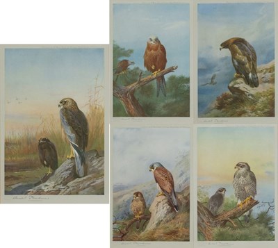 Lot 309 - After Archibald Thorburn FZS (1860-1935)...