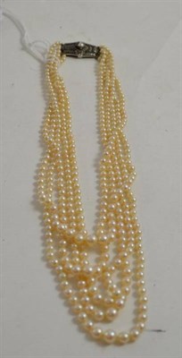 Lot 56 - A cultured pearl necklace, five rows of graduated cultured pearls, knotted to a plaque set with...