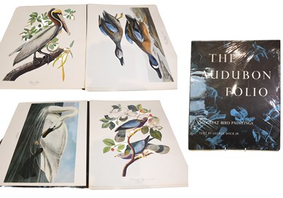 Lot 582 - The Audubon Folio, 30 Great Bird Paintings, 31...