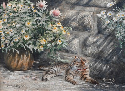 Lot 272 - Paul Monteagle (Contemporary) Tabby cat...