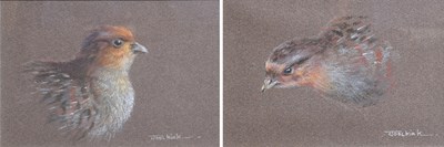 Lot 259 - Joel Kirk (1948-2020) Study of a grey...