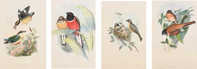 Lot 265 - After John Gould and H. C. Richter "Harpactes...
