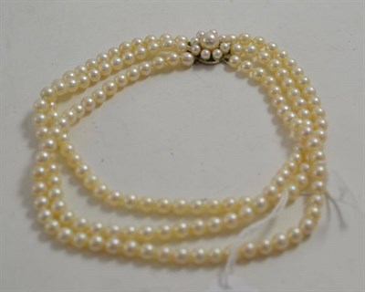 Lot 212 - A cultured pearl choker, the uniform part knotted 50:51:52 pearls strung to a cluster clasp, length