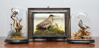 Lot 493 - Taxidermy: A Group of Various Late Victorian &...