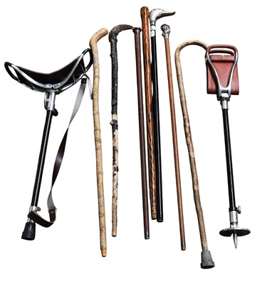 Lot 60 - Walking Sticks and Canes, including a cane...