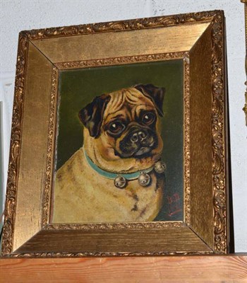 Lot 415 - Oil on board of a Pug, monogrammed B.B and dated 1891