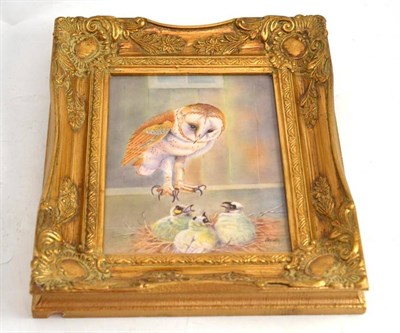 Lot 215 - A painted porcelain plaque depicting a barn owl and it's young, painted by E R Booth, framed