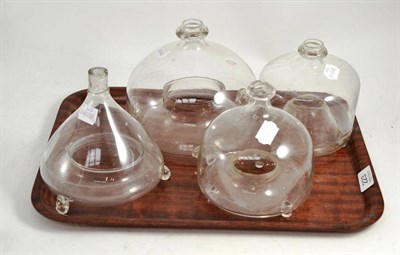 Lot 223 - Four 19th century fly traps