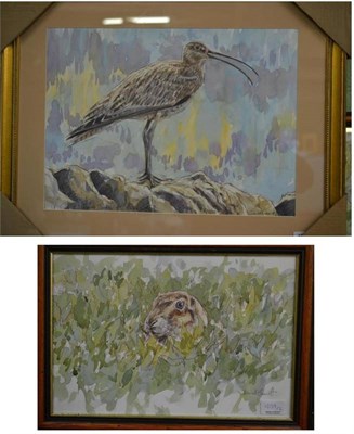 Lot 1039 - David Bennett (Contemporary)  ";Singing Curlew"; signed, inscribed and dated 8/6/00 in pencil,...