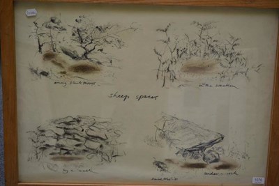 Lot 1070 - David Nash b. 1945  ";Sheep Spaces";  signed, extensively inscribed and dated '81, charcoal and...