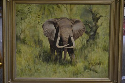 Lot 1073 - *** Bryn ? (20th Century)  An Elephant in the grass  indistinctly signed, oil on canvas  59cm...