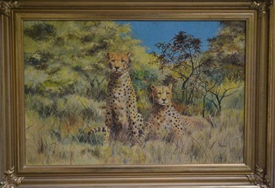 Lot 1074 - *** Bryn ? (20th Century)  Pair of cheetahs at rest in the grass  signed, oil on canvas  48.5cm...