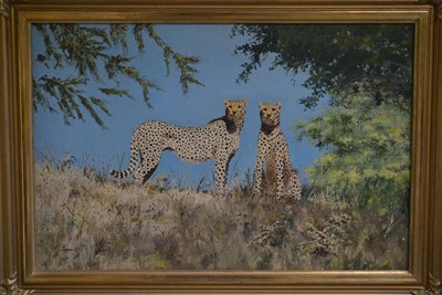 Lot 1075 - *** Bryn ? (20th Century)  Pair of cheetahs in landscape  signed, oil on canvas  48.5cm by 74cms