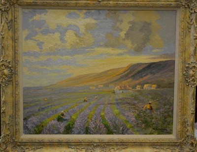 Lot 1100 - Gordon Clifford Barlow (Later 20th Century) ";Southern France, Lavender fields";  signed,...