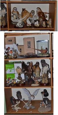 Lot 167 - A quantity of Leonardo Collection figures of owls and birds of prey, Country Artists figures of...