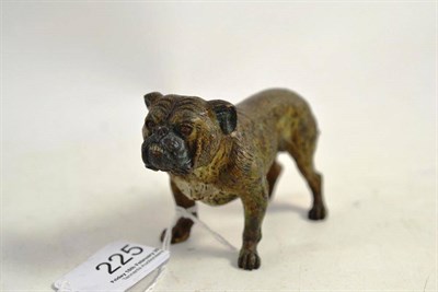 Lot 225 - A cold painted bronze bull dog