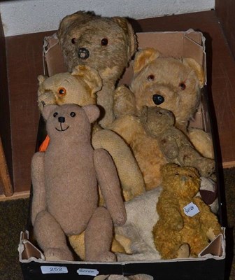 Lot 252 - Six assorted teddy bears and soft toy dog