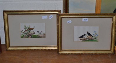 Lot 418 - A pair of 19th century Chinese watercolours on pith paper, depicting exotic birds, 11.5cm x...