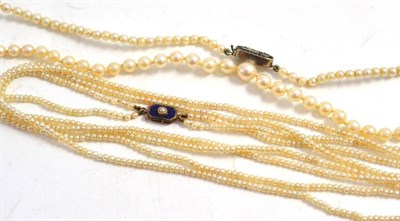 Lot 318 - Double string of seed pearls with a blue enamelled clasp and another string