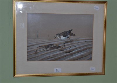 Lot 537 - Rex Flood, Sandpiper watercolour