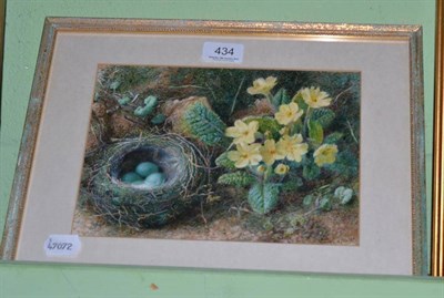 Lot 434 - C H Slater, framed watercolour still life, birds eggs