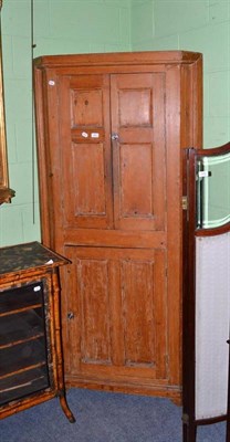 Lot 491 - Pine free standing corner cupboard