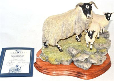 Lot 23 - Border Fine Arts 'A Ewe and a Pair', model No. BO238 by Ray Ayres, limited edition No....