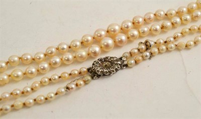 Lot 235 - A double row cultured pearl necklace (with four loose pearls)