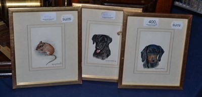 Lot 400 - Dorothy Margaret and Elizabeth Mary Alderson, three miniature watercolours - Dachsund, Labrador and