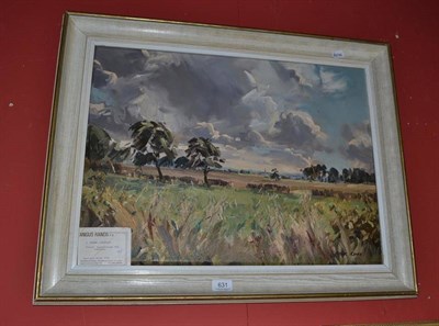 Lot 631 - Angus Rands oil, 'A Summer Landscape'