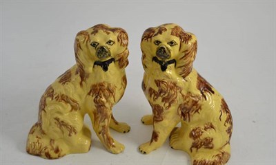 Lot 155 - A pair of Staffordshire cream pottery slip moulded figures of Spaniels with brown markings,...