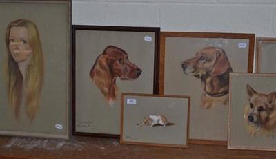 Lot 363 - A collection of seven pastel drawings initialled PB, comprising four dogs, a cat, a hamster and...