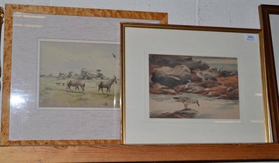 Lot 369 - Richard Barrett Talbot, Heron and Herring Gull, and Topi, watercolours (2)