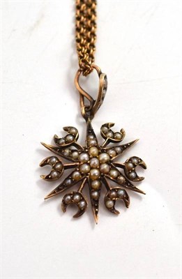 Lot 353 - A seed pearl pendant on chain