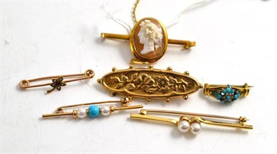 Lot 158 - A cameo brooch, a turquoise and seed pearl set brooch and other bar brooches