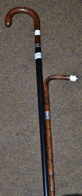 Lot 355 - Two silver mounted walking sticks