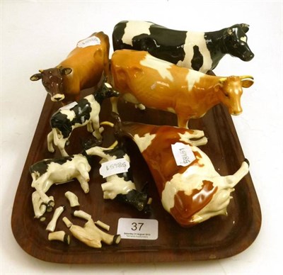 Lot 37 - Four Beswick cows; Ayrshire, Friesian, Jersey and Guernsey and three Friesian calves (a.f.)