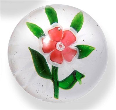 Lot 5 - A Clichy Flower Paperweight, circa 1850, the pink and white petal flower with green leaves,...