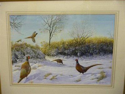 Lot 409 - Michael Kitchen - Hurle (b.1941) Pheasants in the snow Signed and dated (19)88, watercolour and...