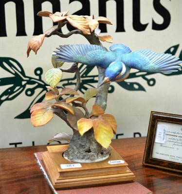 Lot 381 - A Royal Worcester porcelain figure group of a Kingfisher and Autumn Beech by Dorothy Doughty,...