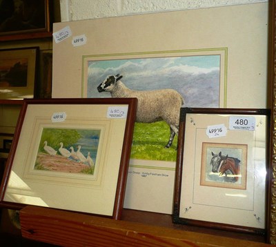 Lot 480 - A framed watercolour of a champion sheep signed D.M Alderson, another small watercolour signed...